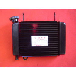 Radiateur d'eau Honda CBR125 2007-2009 - Réf. 19010KTYD31