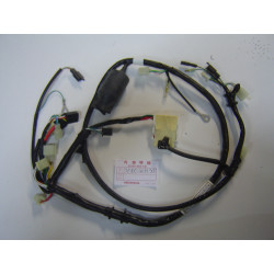 Faisceau électrique de X8R 98-01