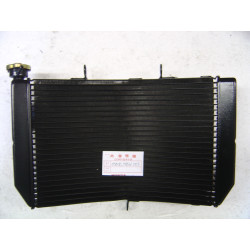 Radiateur d'eau Honda CBR600F 99-00 | Réf. 19010MBW003