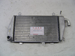 radiateur coté gauche de GL1800 2003 valeur Honda 706.53€