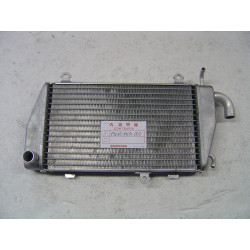 Radiateur gauche Honda GL1800 2003 - Réf. 19060MCA003