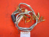 Faisceau électrique Honda CB93 CB160 – Réf. 32100-216-315
