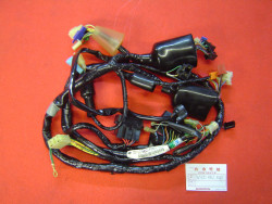 Faisceau electrique de CB600F2 00/01