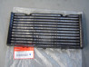 Grille de radiateur Honda CB600F 04 - Réf. 19032MBZK00