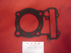 Joint de culasse de VT600C 90-93