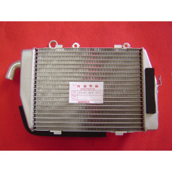 Radiateur eau gauche Honda VTR1000 SP1 00-01 | Réf. 19010MCF003