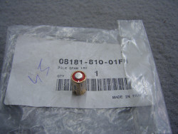 Pile 6 volts pour alarme idem 08E55MATA0120