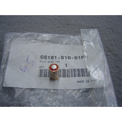 Pile 6 volts pour alarme idem 08E55MATA0120