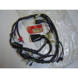 Faisceau électrique pour CRM125 90-99