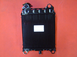 radiateur de GL1100 82