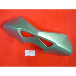 Tête de fourche Honda FES125 2003 couleur G182M | 53205KRJ900ZA