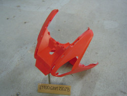 carénage avant de SFX50 95 code couleur R110