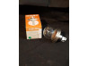 Ampoule de phare type code européen P45T, 12V 45/40W, blanche pour optique
