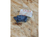 Silentbloc transmission roue AR Honda – Réf. 41241413781