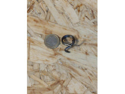 Ressort du mécanimse de verrouillage de selection de CB750four valeur Honda 6.