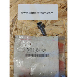 Vis tete hexagonale 8x22 90100438850 90100-438-850
