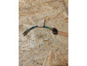 Voyant sur phare de XL250 Motosport, CB125JX/B6 37550329680 37550-329-680