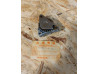 Pompe à huile Honda CB250 CB360 CJ250T CL360 - Réf. 15100-369-000