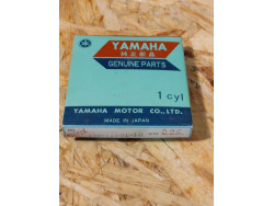 KIT SEGMENTS COTE 0.25 POUR YAMAHA DTMX125 CODE 1V0-11601-10