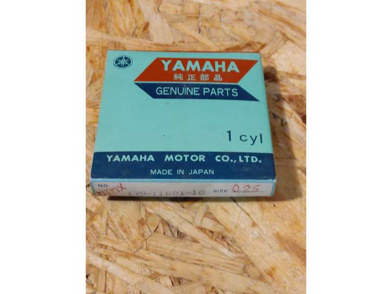 KIT SEGMENTS COTE 0.25 POUR YAMAHA DTMX125 CODE 1V0-11601-10