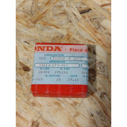 Jeu de segments cote 0.25 Honda 13012-GT5-315