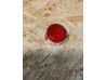 Cabochon feu arrière Honda PC50K1 PS50 - Réf. 33701-063-003