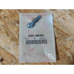 Vis M8x30 Tête Bombée Honda – Réf. 92501-080300A