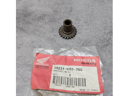 Pignon pompe à eau Honda 19231-KR1-760 - Neuf