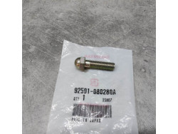 Vis tete hexagonale bombée 8x28 HONDA 92501-080280A