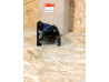 Cache rétroviseur Honda ST1100 Pan European 88111-MT3-003ZA