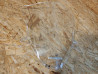 Bulle Pare-Brise Honda CBR600F 2011/2014 - Réf. 64100-MGV-D00ZA