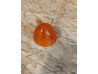 Cabochon de clignotant ADAPTABLE Honda C50 C90 CT90 S90A 33602-041-671 A