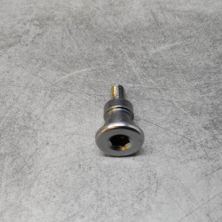 Vis Pivot Honda 90113-MCF-000 CB1000R CBR1000 RR