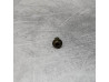 Écrou fixation bulle Honda 90202-MB6-000 CBR VFR