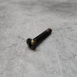 Vis M6x35 fraisée bombée cruciforme noire Honda 90107-MCT-771
