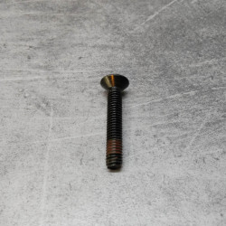 Vis M6x35 fraisée bombée cruciforme noire Honda 90107-MCT-771