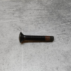 Vis M6x35 fraisée bombée cruciforme noire Honda 90107-MCT-771