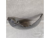 Cache disque avant gauche Occasion Honda PC800 Pan European