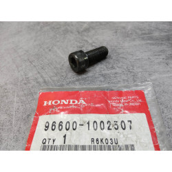 Vis Socket Honda 10X25 - Réf. 96600-1002507 | Pièce Honda