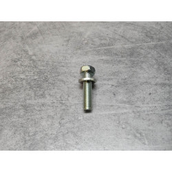 Vis hexagonale 6x25 mm + rondelle Honda 93401-0602500