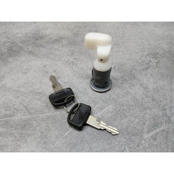 Serrure verrouillage SCV100F HONDA 77239-KRP-981