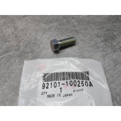 Vis Hexagonale 10x25 Honda 92101-100250A | Pièce Neuve