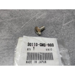 Visserie Honda CBF1000F - Référence 90110-GW0-000