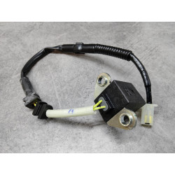 Générateur Impulsions Allumage Honda 30300-MEW-921