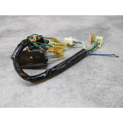 Bloc des voyants avec faisceau de GL1000 HONDA 37619-371-680