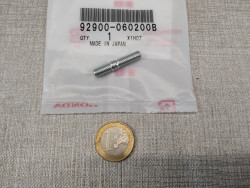 Goujon M6x20 - 92900060200B