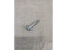 Vis Cache Culbuteur Honda 125Twin 6x38 - Réf. 90036-399-003