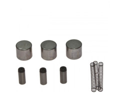 Kit Réfection Roue Libre Démarreur Honda - Réf. 1078317
