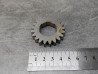 Pignon 21 dents Honda 13611-344-000 - Pièce neuve