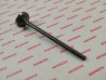 Soupape d'admission NT650V DEAUVILLE + divers HONDA 14711-MV1-000